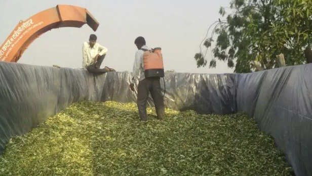 पौष्टिक आहार उपलब्ध कराने का एक प्रभावी समाधान