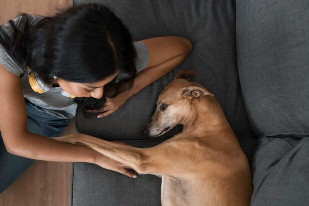 Why Dogs Come to You When You Cry
