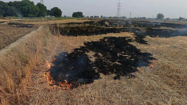 पराली जलाने से मिट्टी की गुणवत्ता पर असर