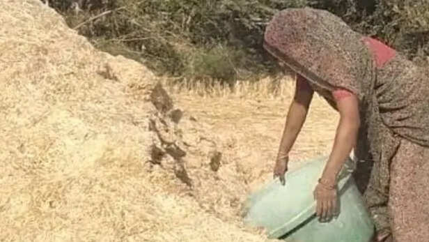 दूसरे किसानों के लिए प्रेरणा बनीं पपीता रावत