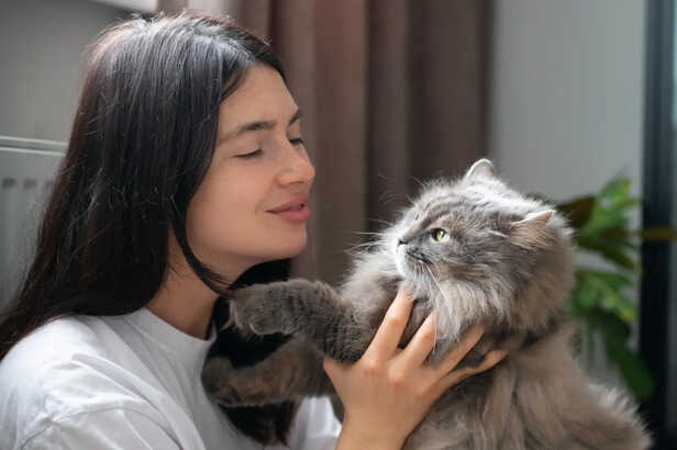 Cat People's emotional style often rely on depth over display