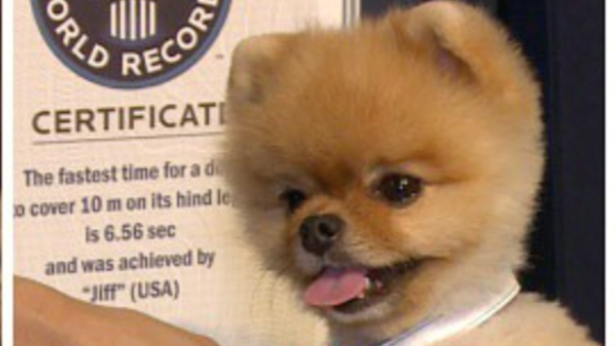 Jiff | Instagram - @guinnessworldrecords
