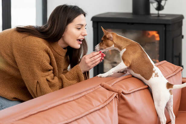 The Hidden Role of Scent and First Impressions