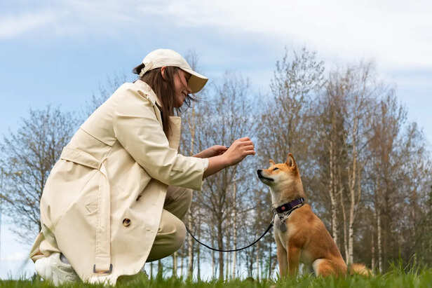 Dogs Read People Like Emotional Maps