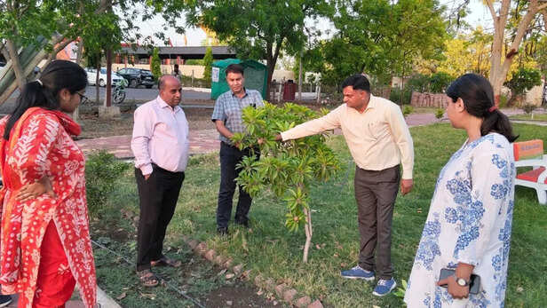 जैविक खेती को बढ़ावा देने मैदान में उतरे कलेक्टर