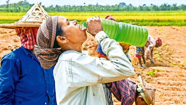 ग्रामीण और शहरी इलाकों के दैनिक मजदूर सबसे अधिक प्रभावित