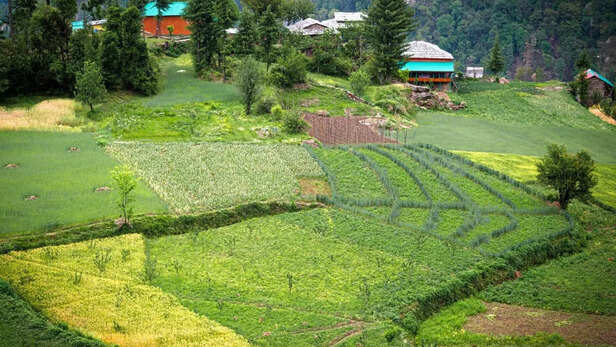 हिमाचल में खेती की तस्वीर