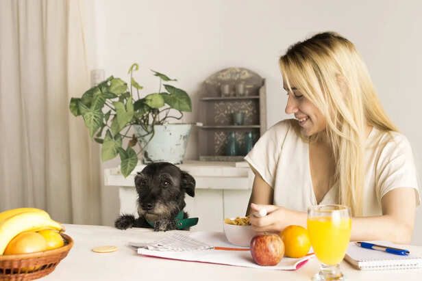 Choosing the Right Type of Food