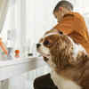 Portion Control and Feeding Schedule