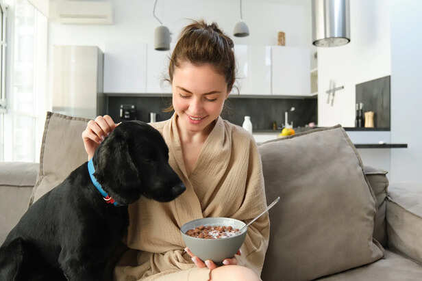 Common Causes of Obesity in Pets