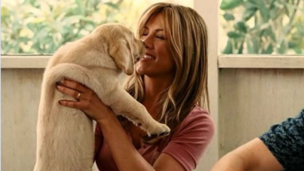 Marley &amp; Me | Instagram - @babyanmlpics