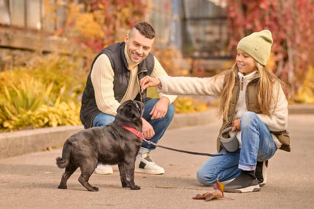 Family members giving different commands to a dog