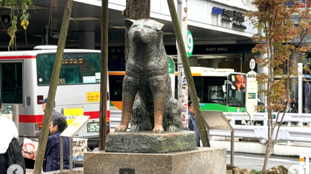 Statue of Hachikō | Instagram - @carloandseb