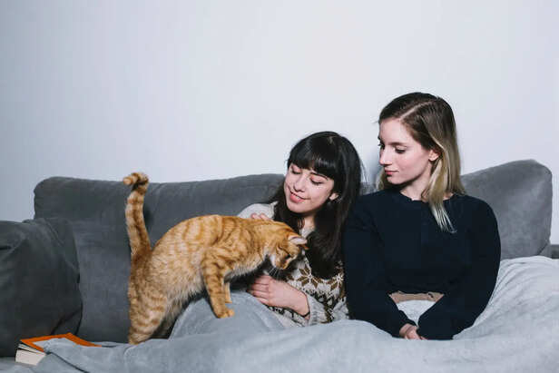 Some Cats Suddenly Become Unusually Affectionate