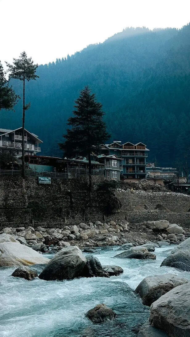 Mountains, music and sukoon : India’s most magical forest and hill festivals