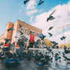 Pigeons Walking Through Busy Streets