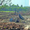 Commercial tower surfaces in DRP plan for Mulund salt pans