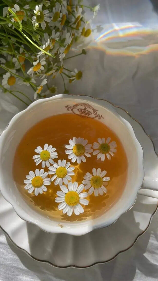 ​From Bubble tea to Kulhad chai: How Gen Z is recreating tea culture through these 5 teas?