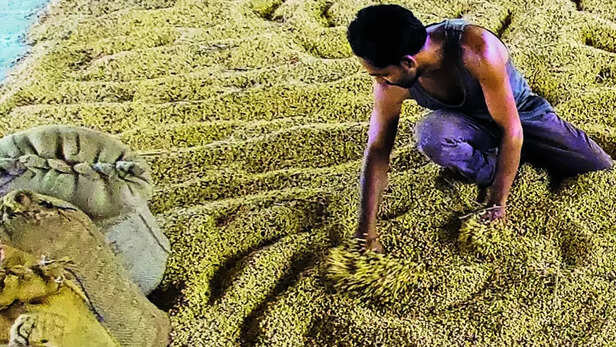 International मार्किट में मंहगा हुआ भारतीय सोयामील