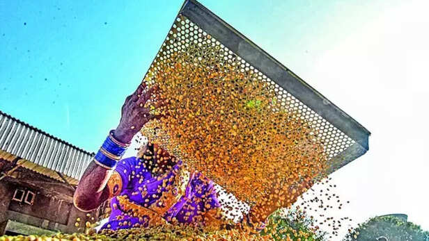 भारत का सोयामील निर्यात लंबे समय तक दबाव में रहने की आशंका