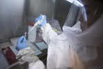 Is Ebola Entering India? What You Must Know | No Cases Yet, Govt Alert