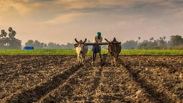 “खेती को बनाना है टिकाऊ और आर्थिक रूप से लाभकारी”