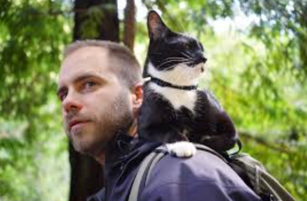 X/@oswaldlmfaoo46636 | One of the biggest reasons behind the popularity of cat dads is the changing definition of masculinity