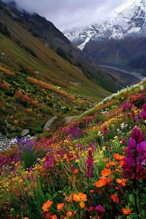 From Hampta Pass to Valley of Flowers: Some offbeat treks to explore this summer 