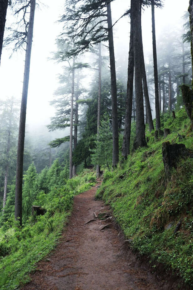 Pexels | 5 Offbeat Getaways Near Delhi Fueling India's Micro-Vacation Trend