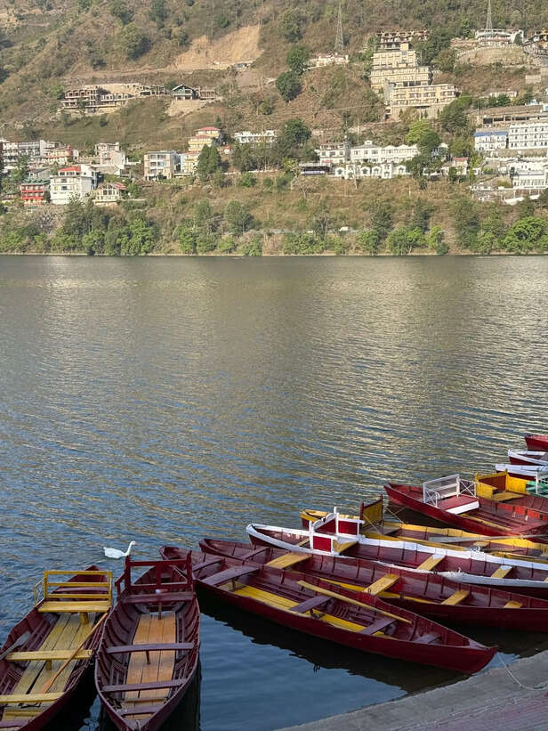 Pexels | 5 Offbeat Getaways Near Delhi for the Weekend