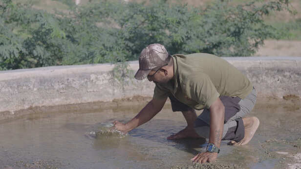 राजस्थान की गर्मी में पक्षियों और वन्यजीवों के लिए बनाए गए जलकुंड और पानी की टंकियां