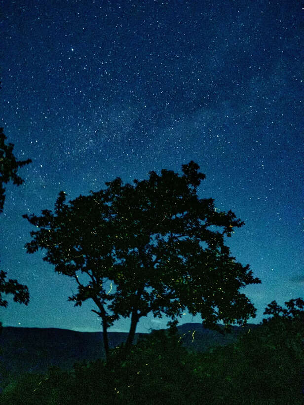 Music, treks, and monsoon: How to experience India's monsoon magic and fall in love with the rain all over again 
