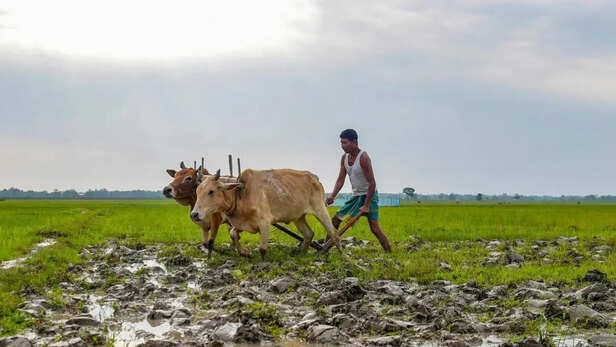 अभी सामान्य से कम होगी बारिश, किसान रहें सतर्क