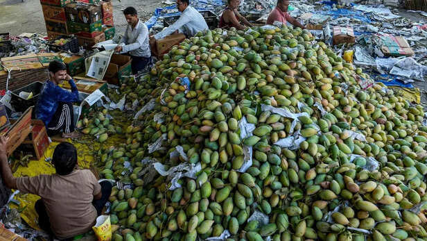 समय रहते करें कीटों से बचाव के लिए छिड़काव