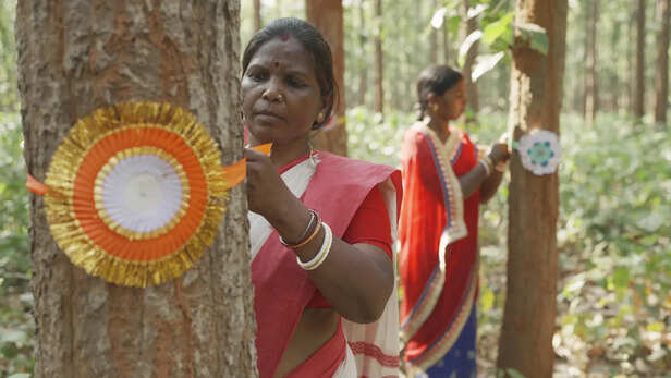 बिना डरे हाथ में लाठी और तीर-कमान लेकर अकेले ही खतरनाक लकड़ी चोरों (माफिया) से जंगल बचाने निकल पड़ती थीं। 