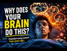 Why Does Your Brain Replay Embarrassing Moments at Night?