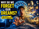 The Fascinating Science Behind Why Dreams Disappear So Quickly