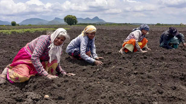 बदलते मौसम की सटीक जानकारी लेकर ही करें बुवाई का काम शुरू