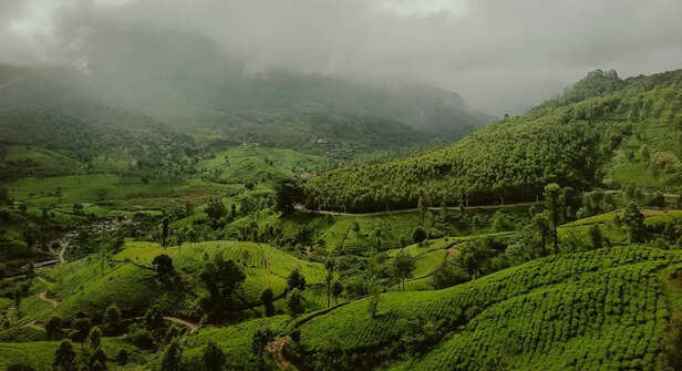 Munnar, Kerala