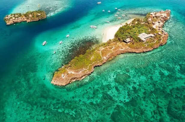 X | Crocodile Island