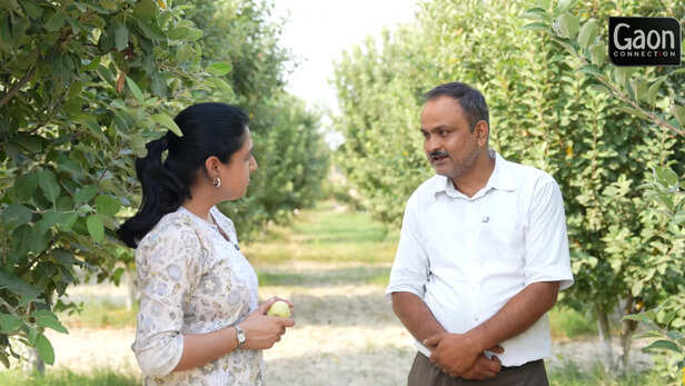 जहाँ पड़ती है भीषण गर्मी, वहाँ लहलहाया सेब का बाग़