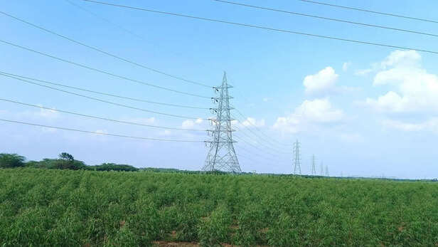 धान सीजन में बिजली व्यवस्था संभालने के लिए PSPCL की तैयारी