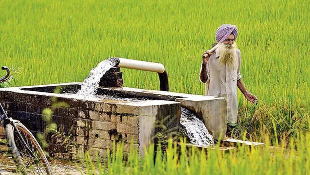धान की रोपाई के सीजन में खेतों में जुटे पंजाब के किसान