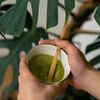 Daily Moringa Powder Routine