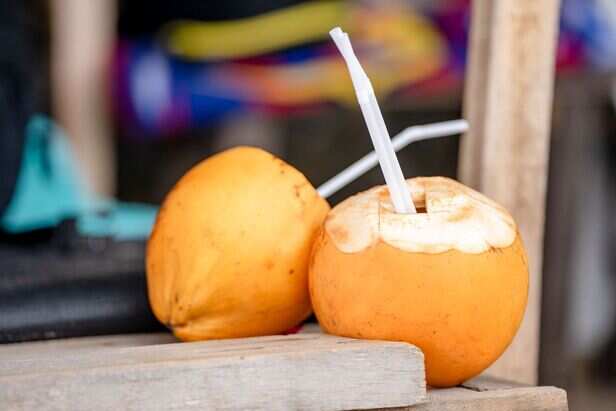 ​Nature's Sports Drink: The Hydration Power of Coconut Water