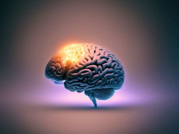​AI systems are increasingly designed to interact in ways that resemble human behaviour