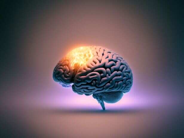 A digital detox provides clarity to your brain