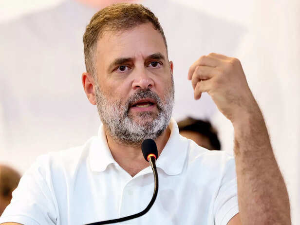 "Rahul Gandhi Regretted His Panama P