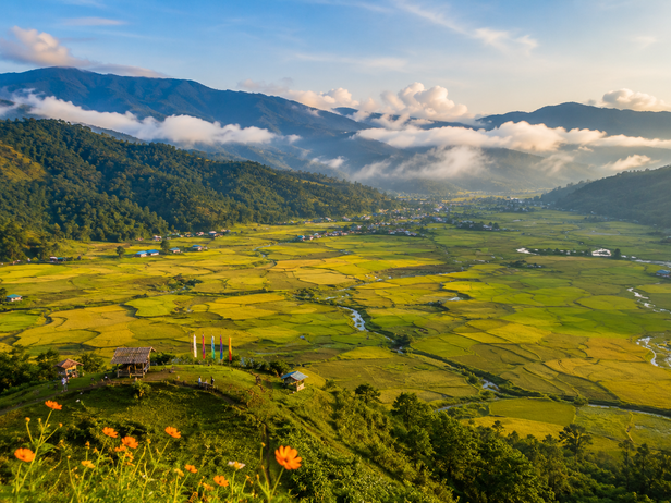 Ziro valley