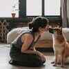 Dog and his owner